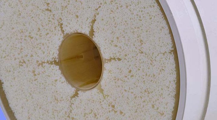 Dutch Researcher Proofs Potential Of Pem Coated Membranes To Remove Micro Pollutants Dutch Water Sector