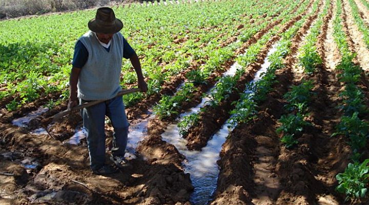 dws-uva-boelens-riego-aguas-770px