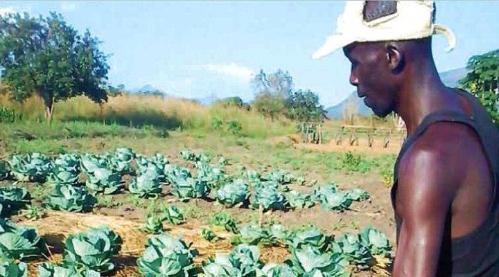dws-waterchannel-webinar-farming-east-africa-farmer-770px