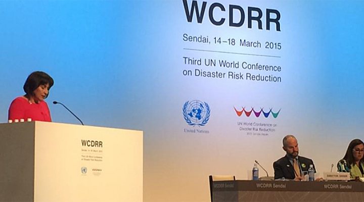 dws-wcdrr-nl-statement-ploumen-770px