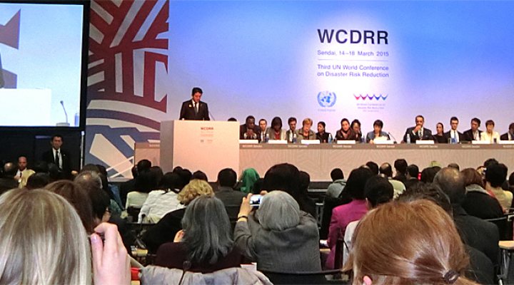 dws-wcdrr-plenary-general-770px