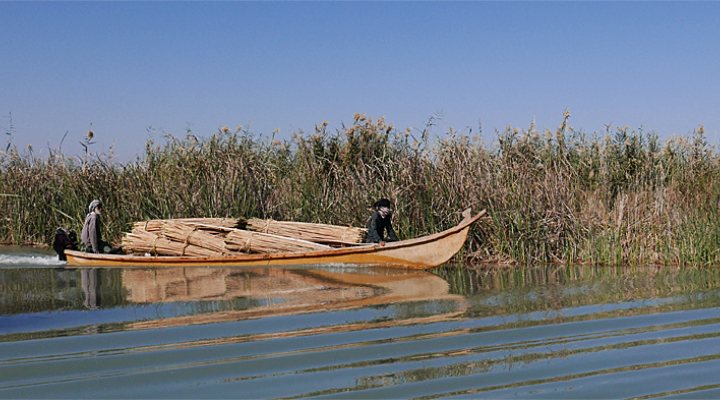 dws-wertlands-irak-iran-marshes-770px-1