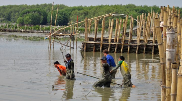 dws-wetlands-germany-demak-permeable-dam-770px