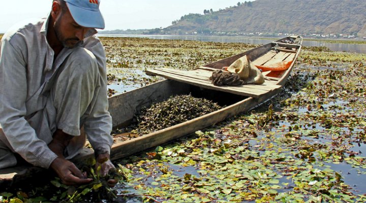 dws-wetlands-hoffman-award-wular-770px-1