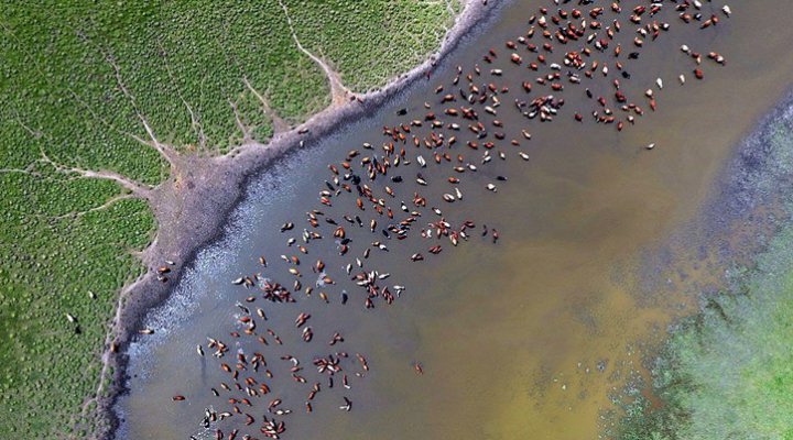 dws-wetlands-mongolia-aerial-adb-770px-1