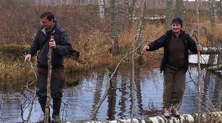 dws-wetlands-peatland-russia-at-works-770px