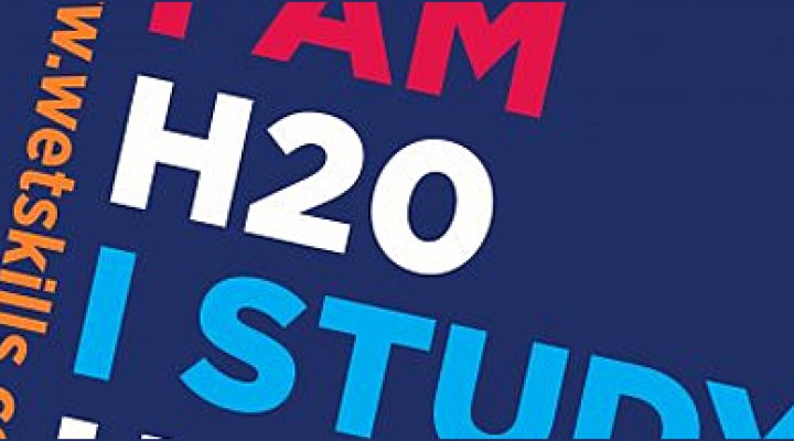 dws-wetskills-2014-logo-650px