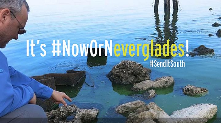 dws-wetsus-barely-prize-neverglades2-770px