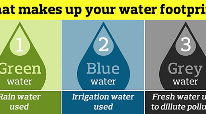 dws-wfn-poster-750px