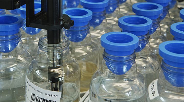 dws-wln-ecoli-detection-samples-770px