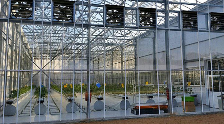 dws-wur-horticulture-research-centre-abu-dhabi-770px