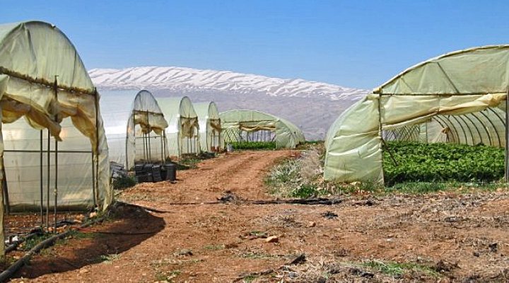 dws-wur-libanon-green-houses-690px