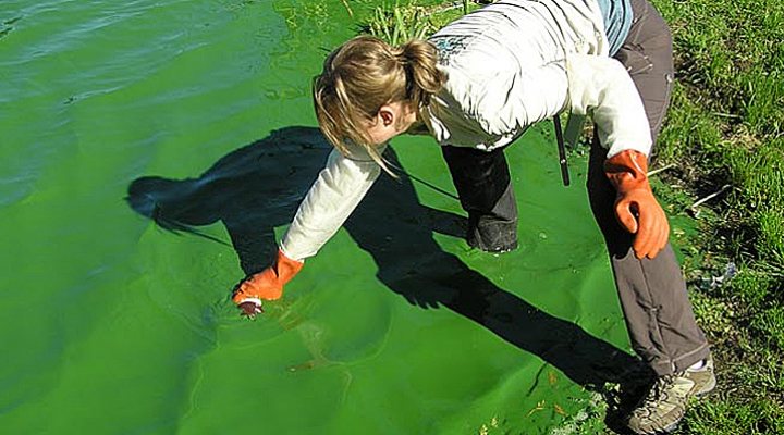 dws-wur-rethink-water-scarcity-algea-bloom-770px-1