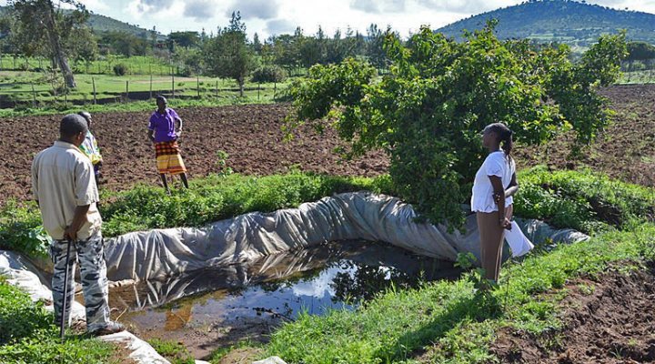 dws-wur-study-sdg2-and-6-rainwater-kenya-770px