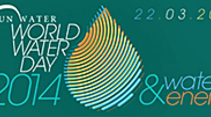 dws-wwd2014-logo-770px