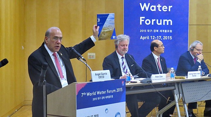 dws-wwf7-oecd-gurria-glas2-770px