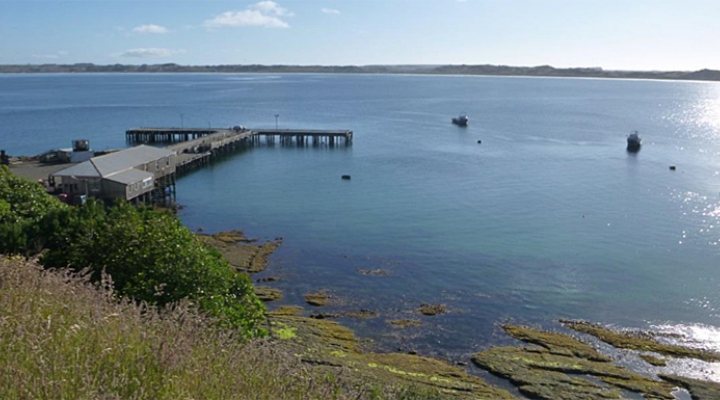 dws-xbloc-waitangi-current-wharf-770px