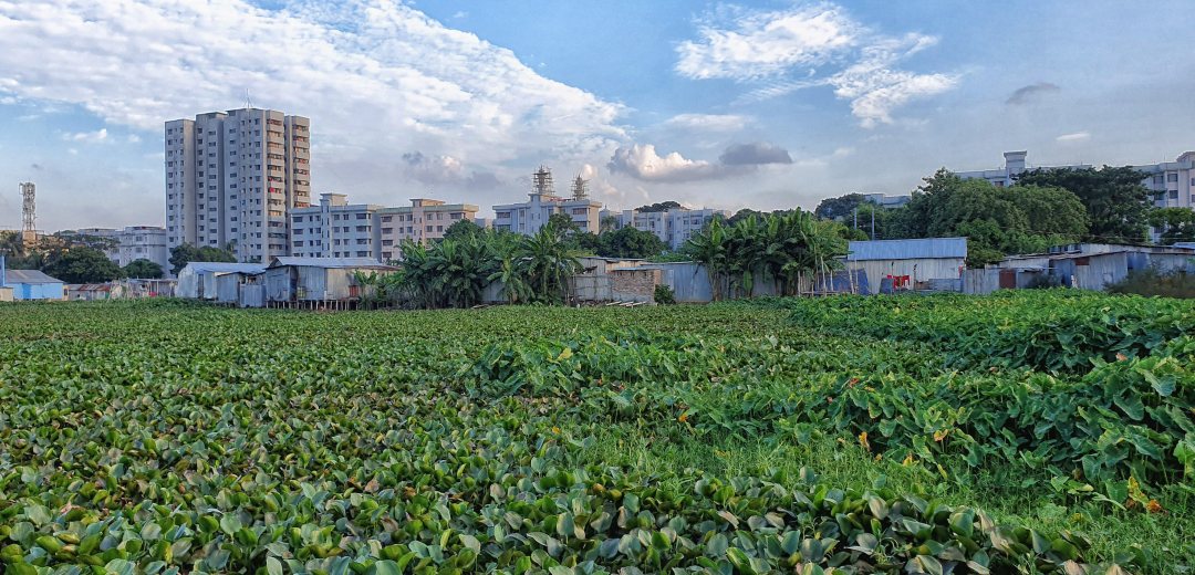 Dhamalkot slum, Bangladesh