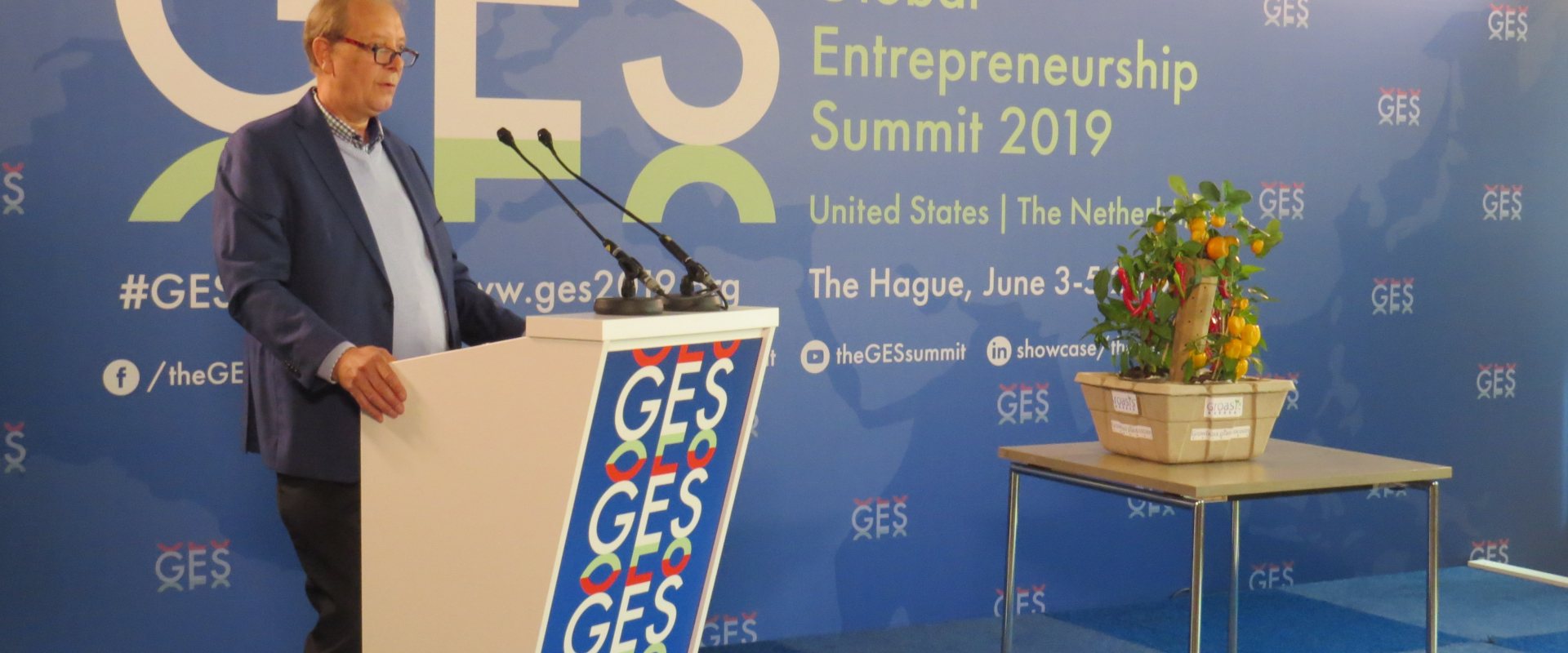 Pieter Hoff - Groasis