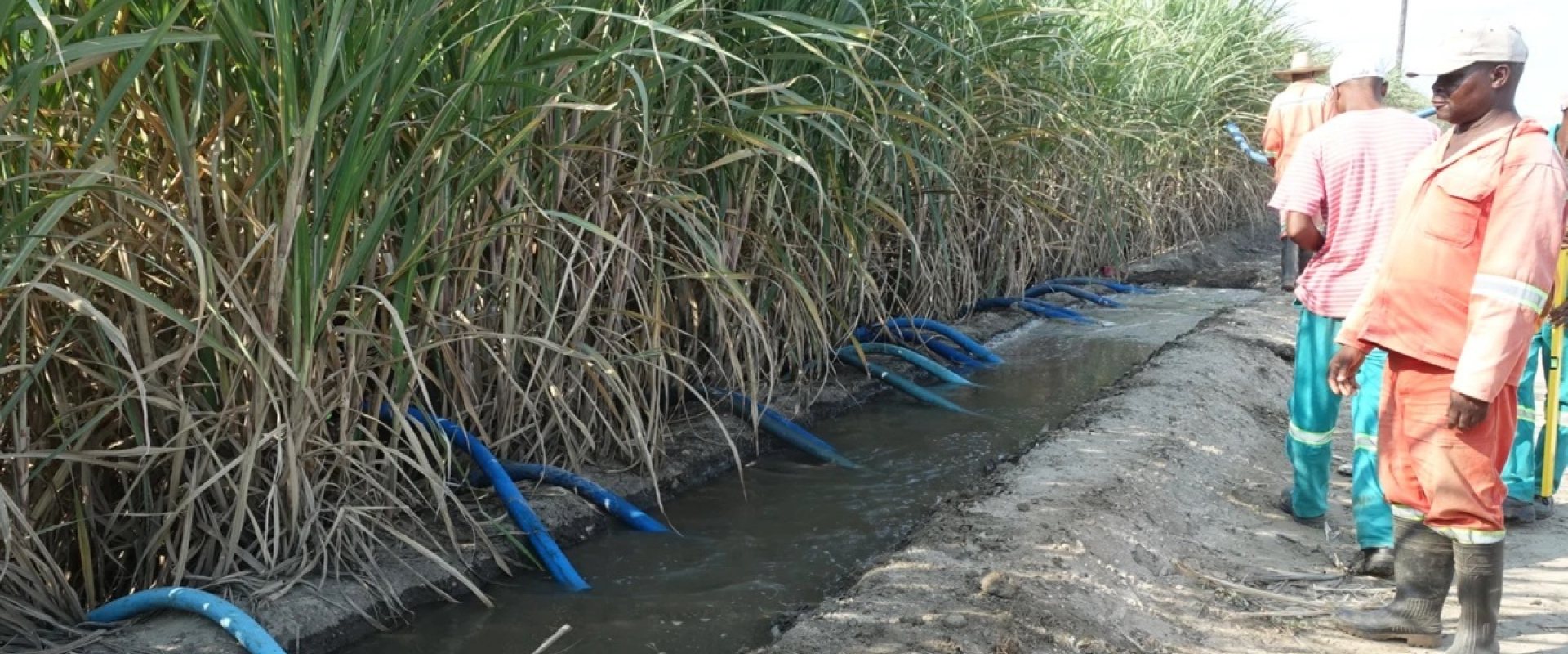 Use of satallite data to improve crop yields in Mozambique