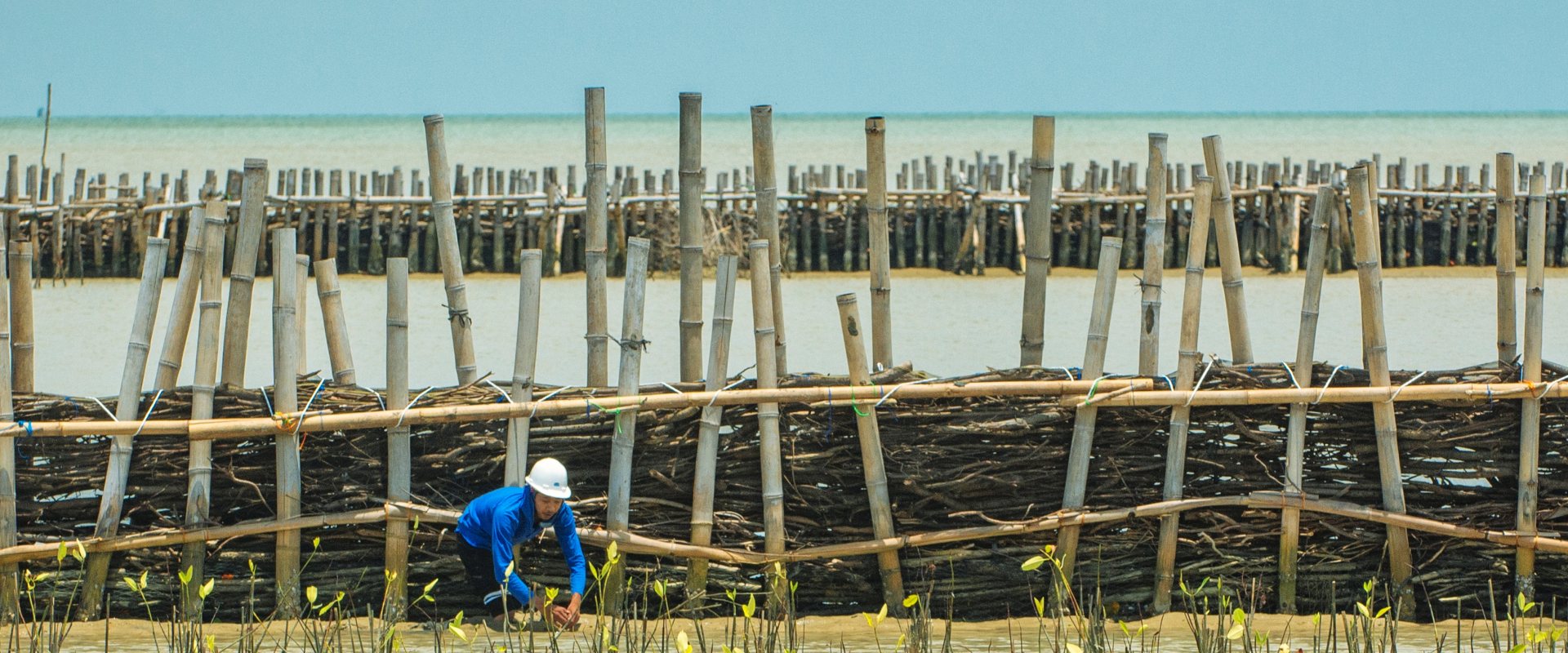 Permeable dam along Java coast to catch sediment