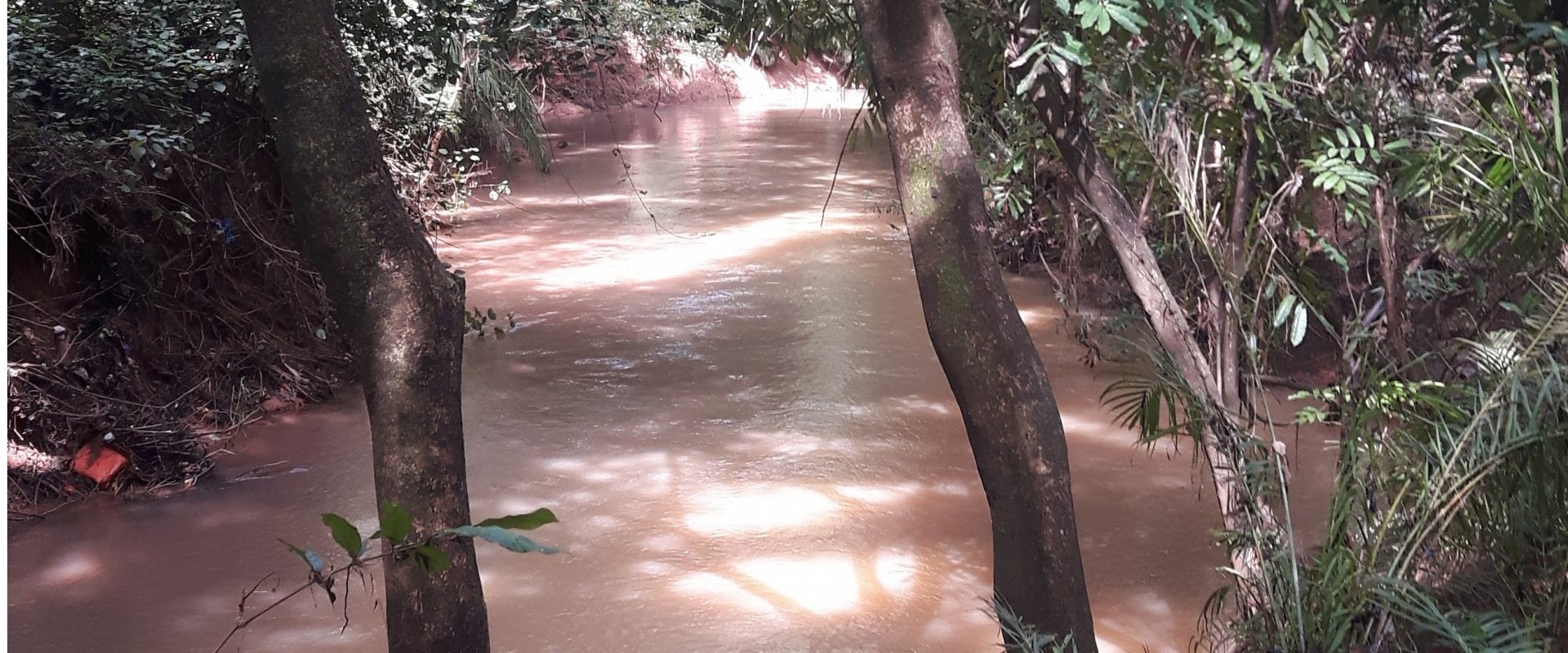 View of the river Kou, Burkina Faso