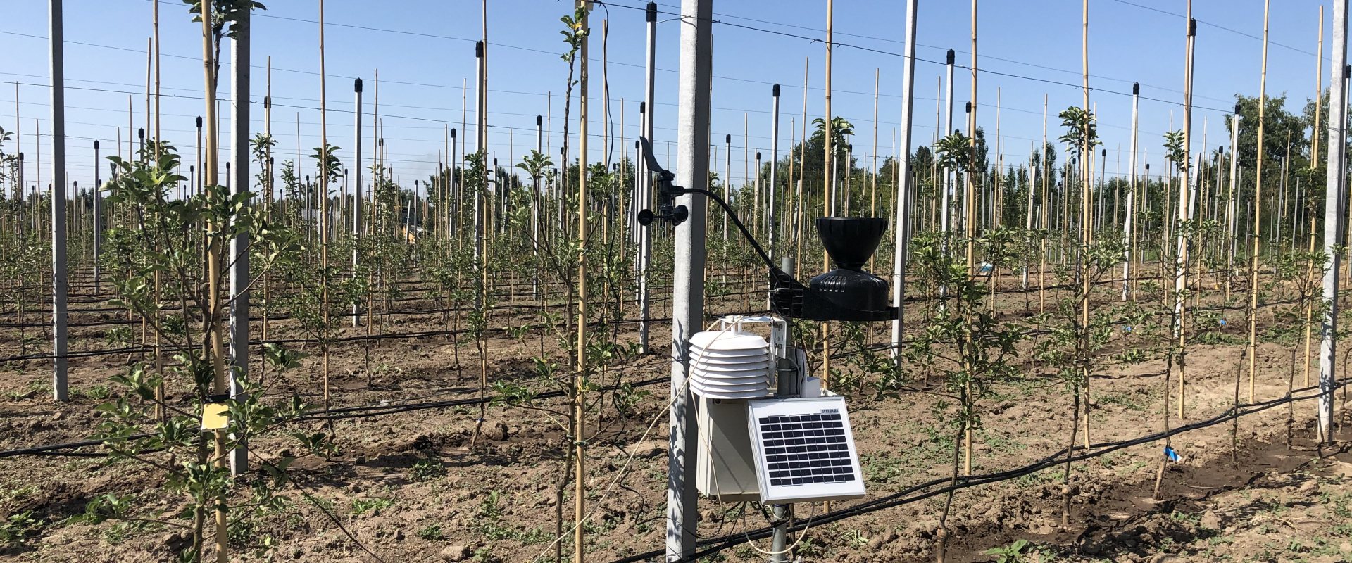 Wolky Tolky metering station for monitoring the rain fall, temperature, wind and soil moisture.