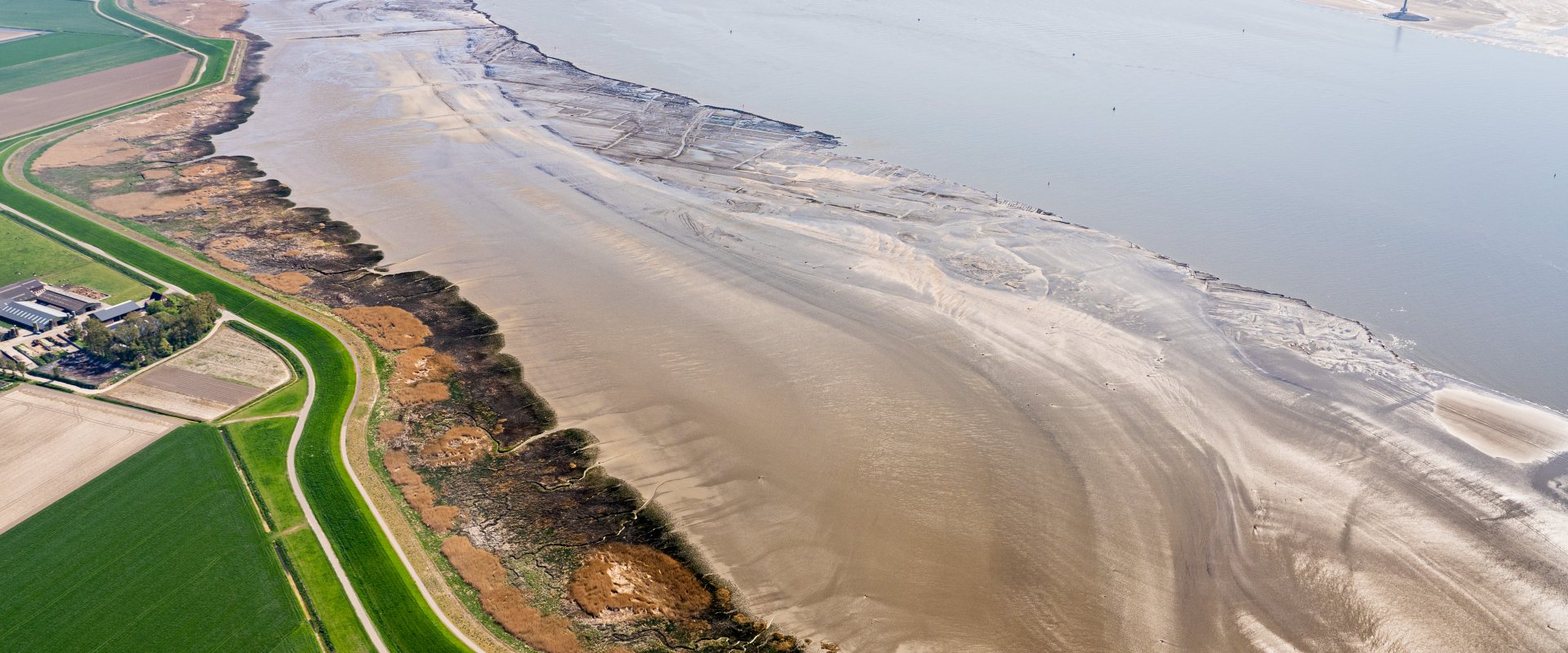 Aerial view of salt marshes in Western Scheldt, the Netherlands