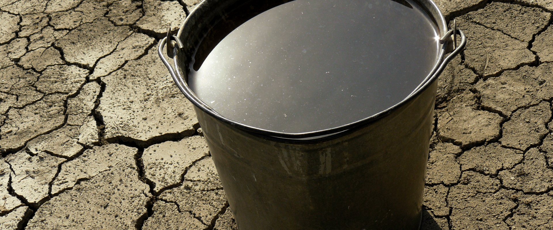 Bucket of water on dry soil - Stockholm World Water Week