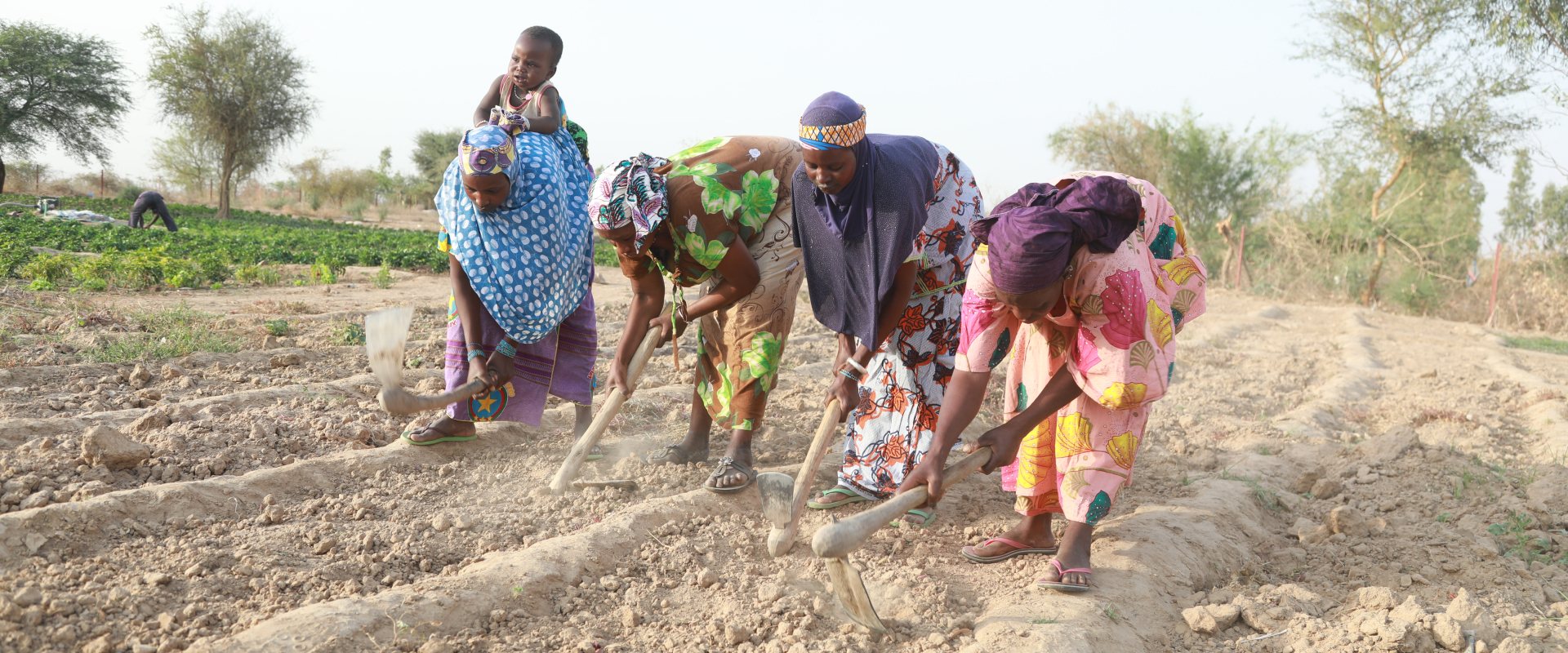 African women working on dry land (ohoto: Makmende Media)