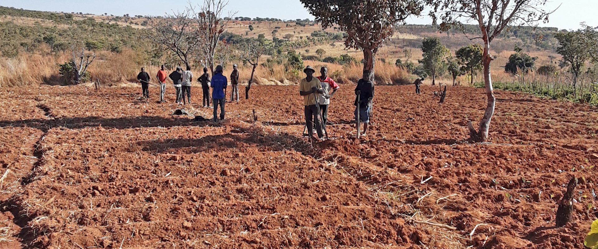 Farmers in Angola who use geo data to improve their corp yield