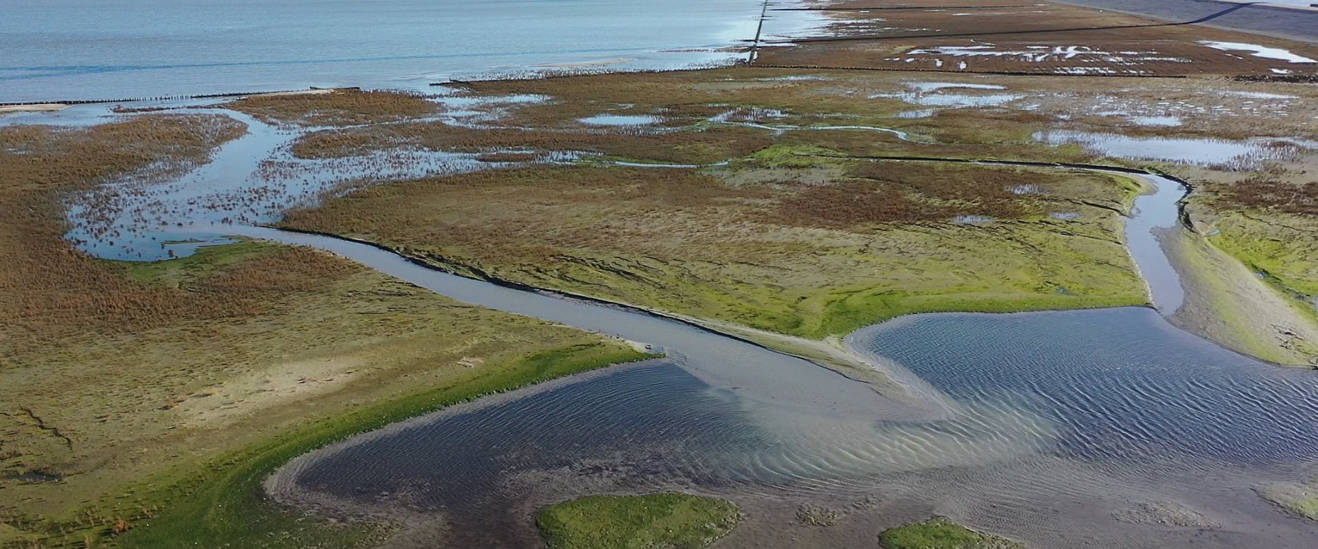 New created coastal foreland as flood prevention at Delfzijl, the Netherlands