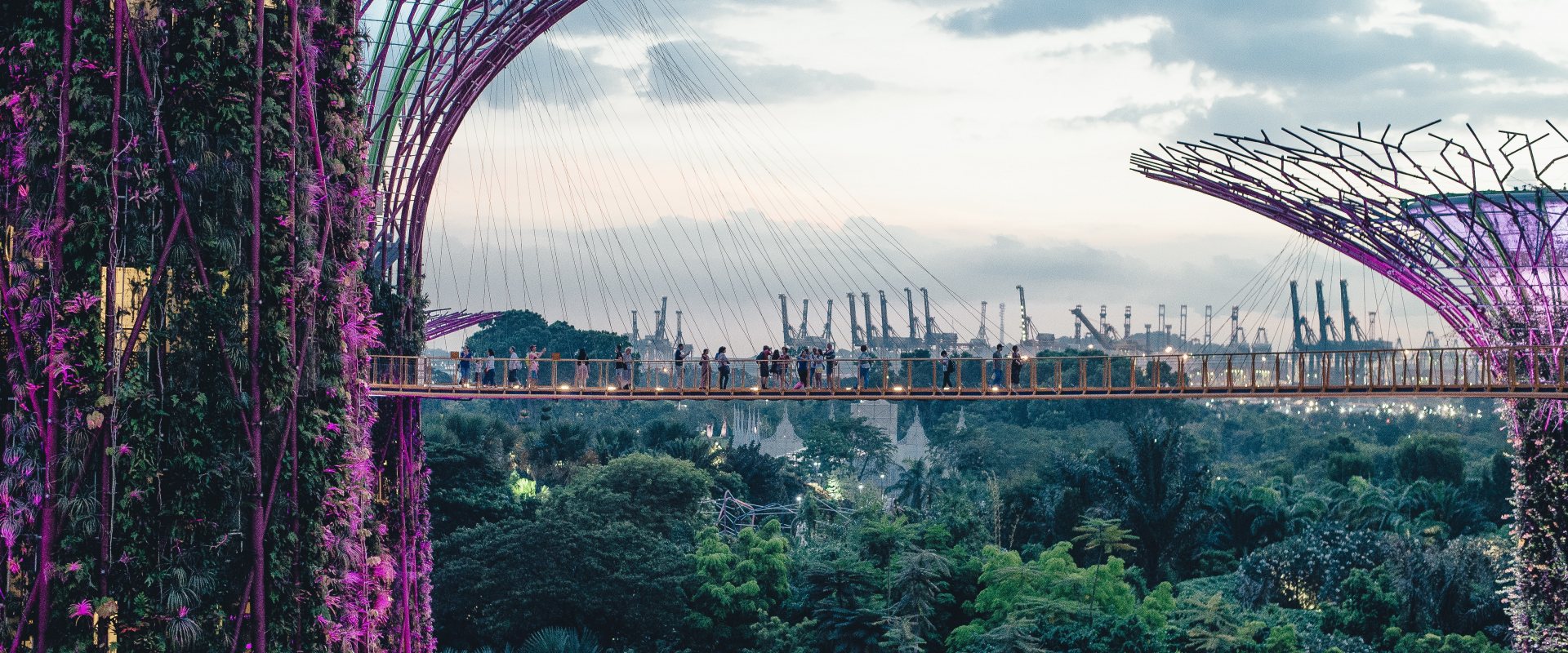 Walkway between super trees, Singapore