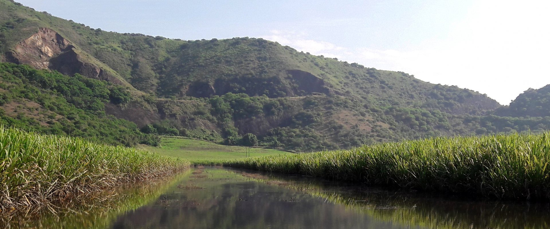 Cauca Valley Colombia