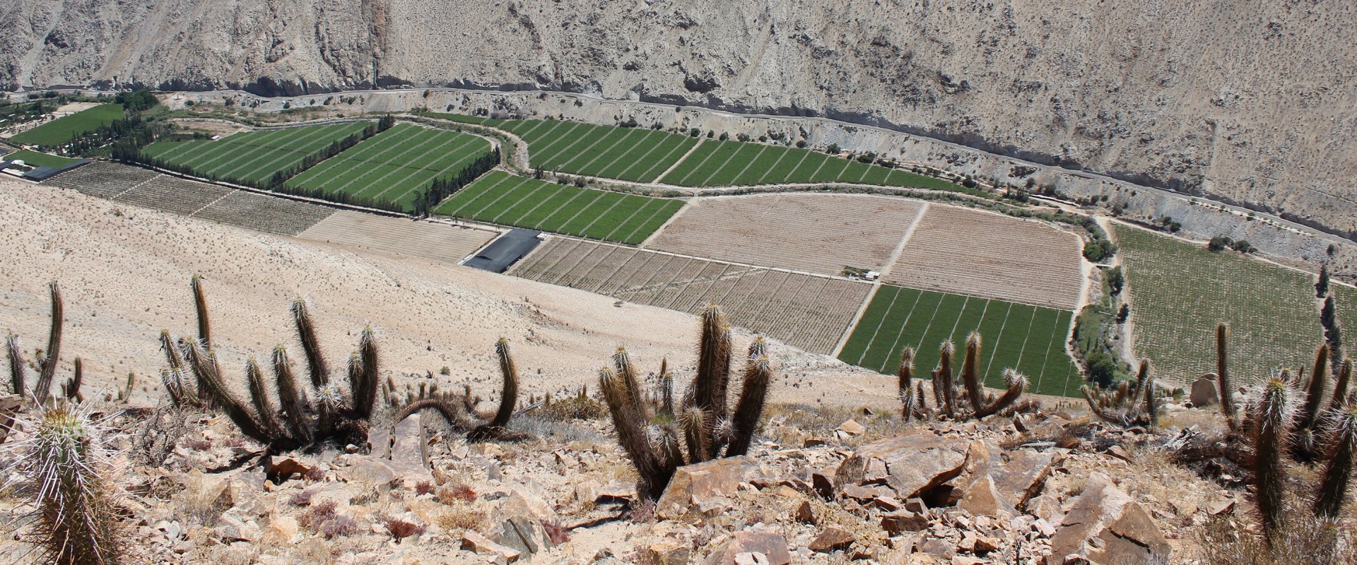 Agriculture in Chile