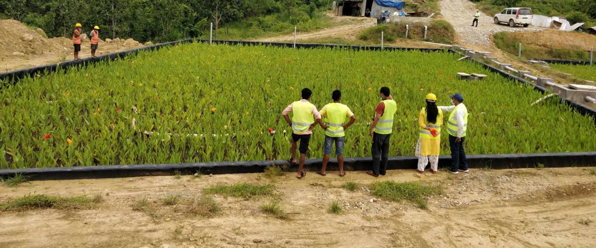 Wetland in Nepal