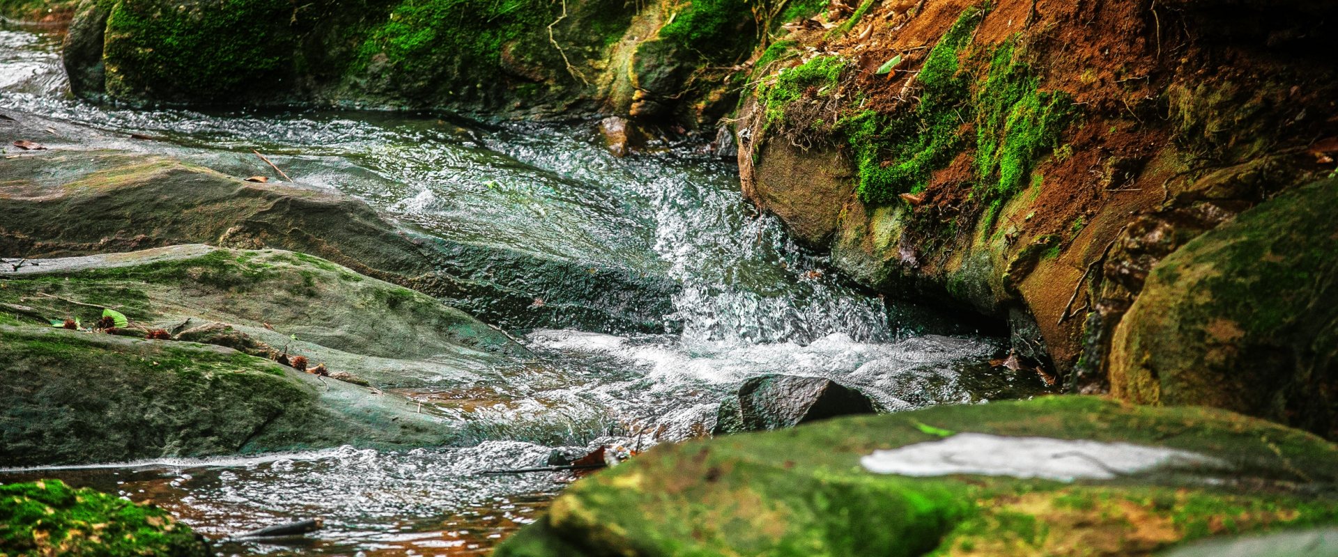 Stream of water in landscape
