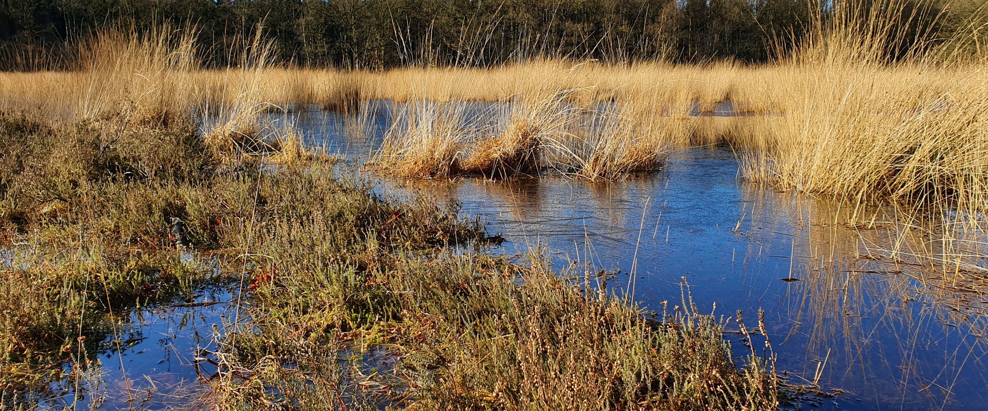 Water landscape