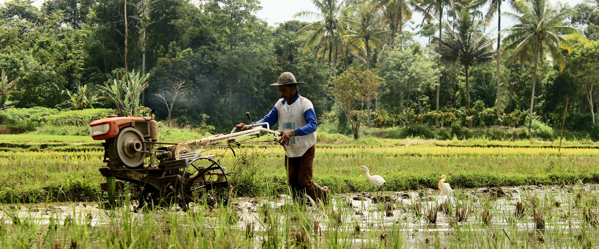 Indonesian farmer using a tractor. Photo: Unsplash