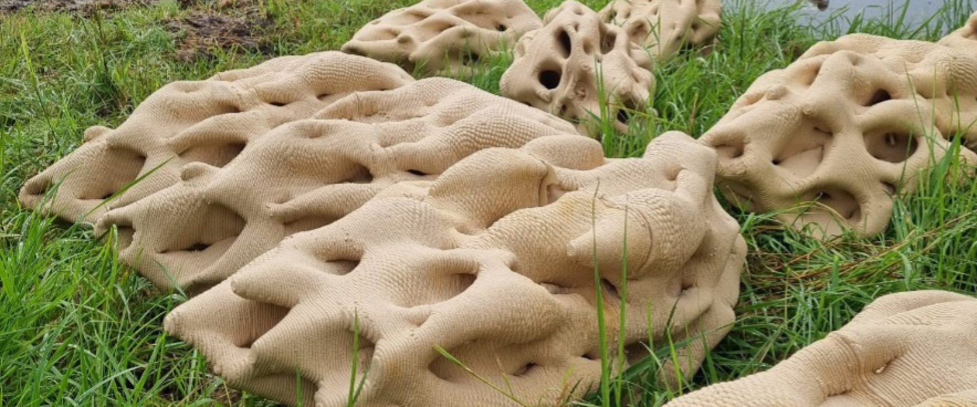 Photo of 3D-printed clay reefs designed by Urban Reef. Photo: Urban Reef / Rijkswaterstaat