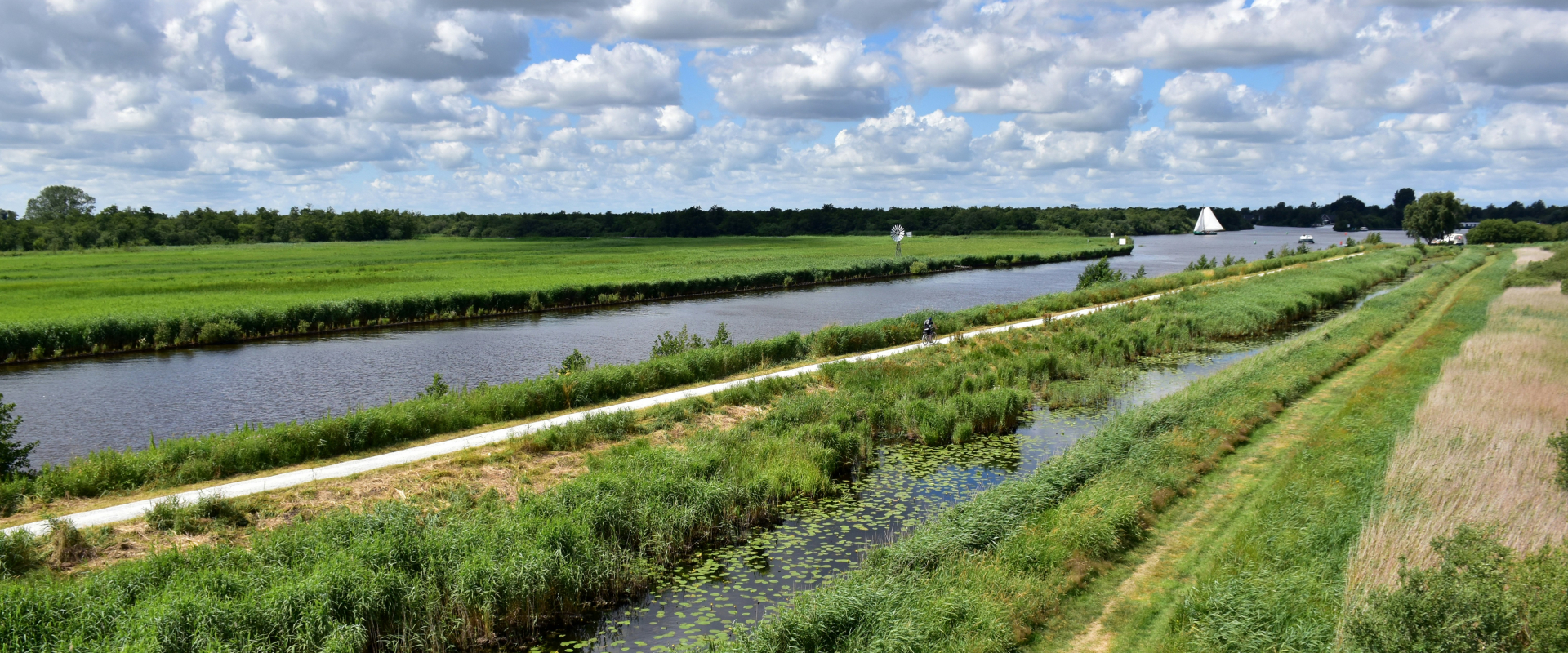 Photo of the National Park de Alde Faenen, Friesland, the Netherlands. Photo: Ries Bosch / Unsplash