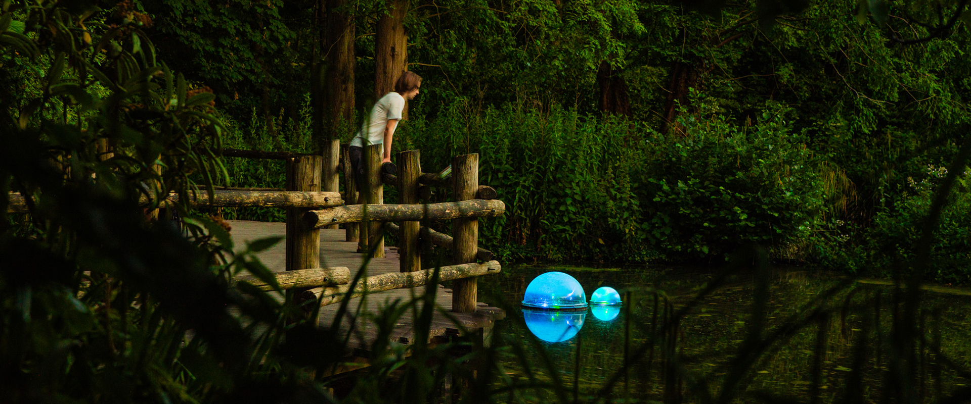 POND at Rotterdam Zoo. Photo: Nova Innova