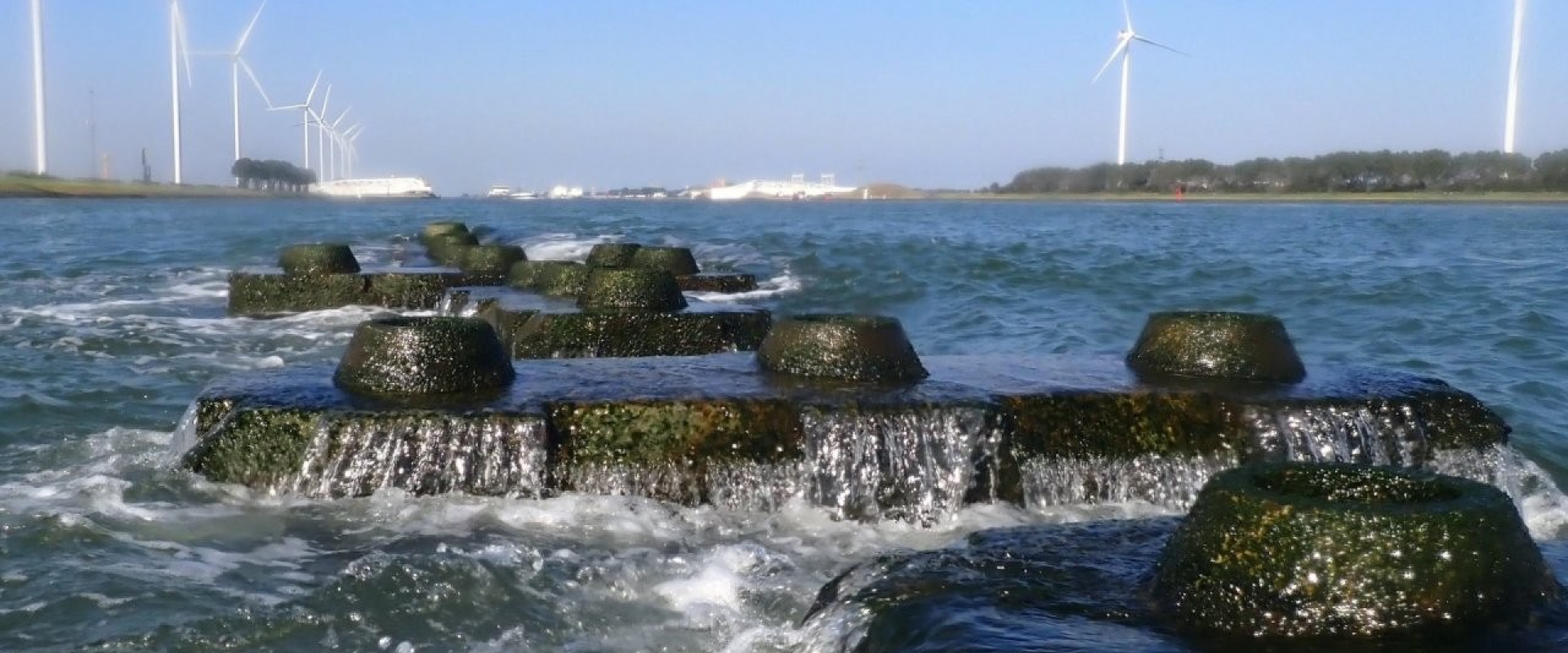 Reef in action with Famous Maeslantkering on the backdrop. Photo: Reefy