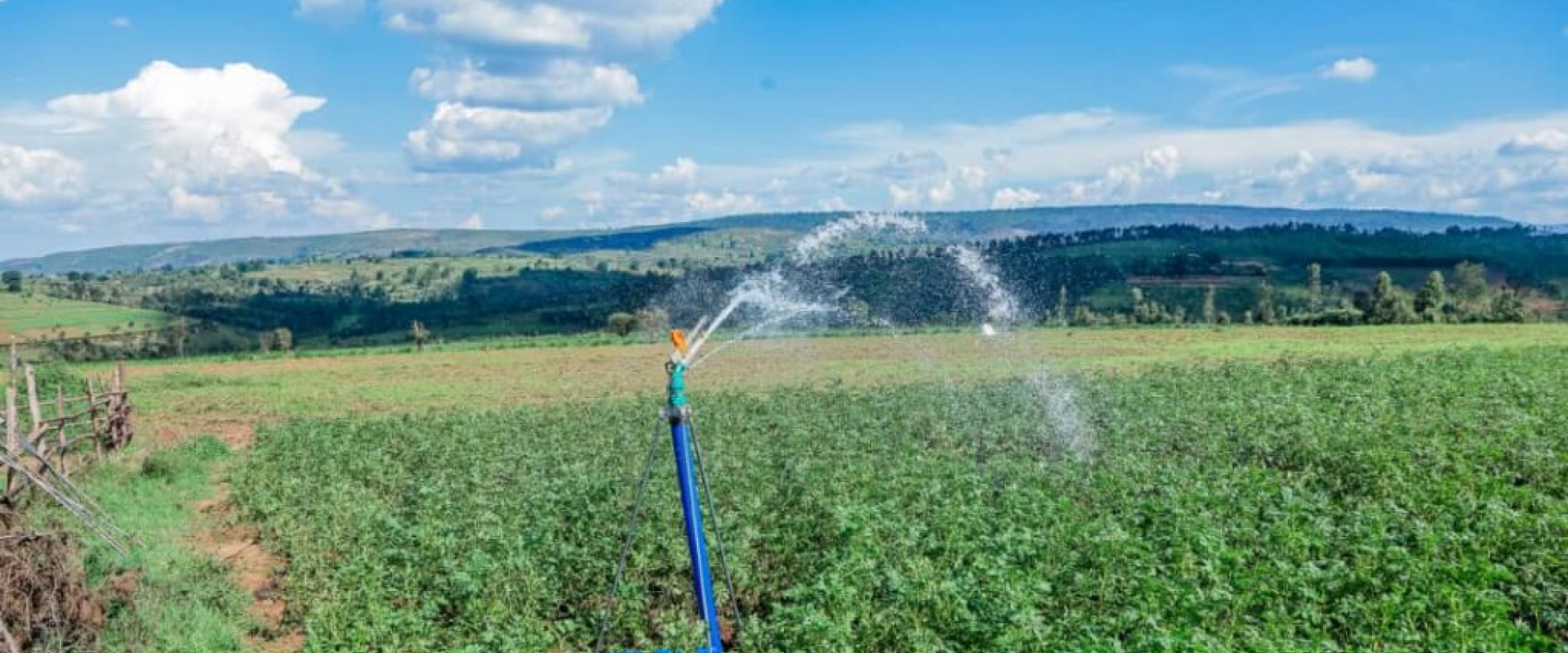Irrigation system in Burundi, part of the Private Seed Sector Development (PSSD) project. Photo: Jimbere Magazine