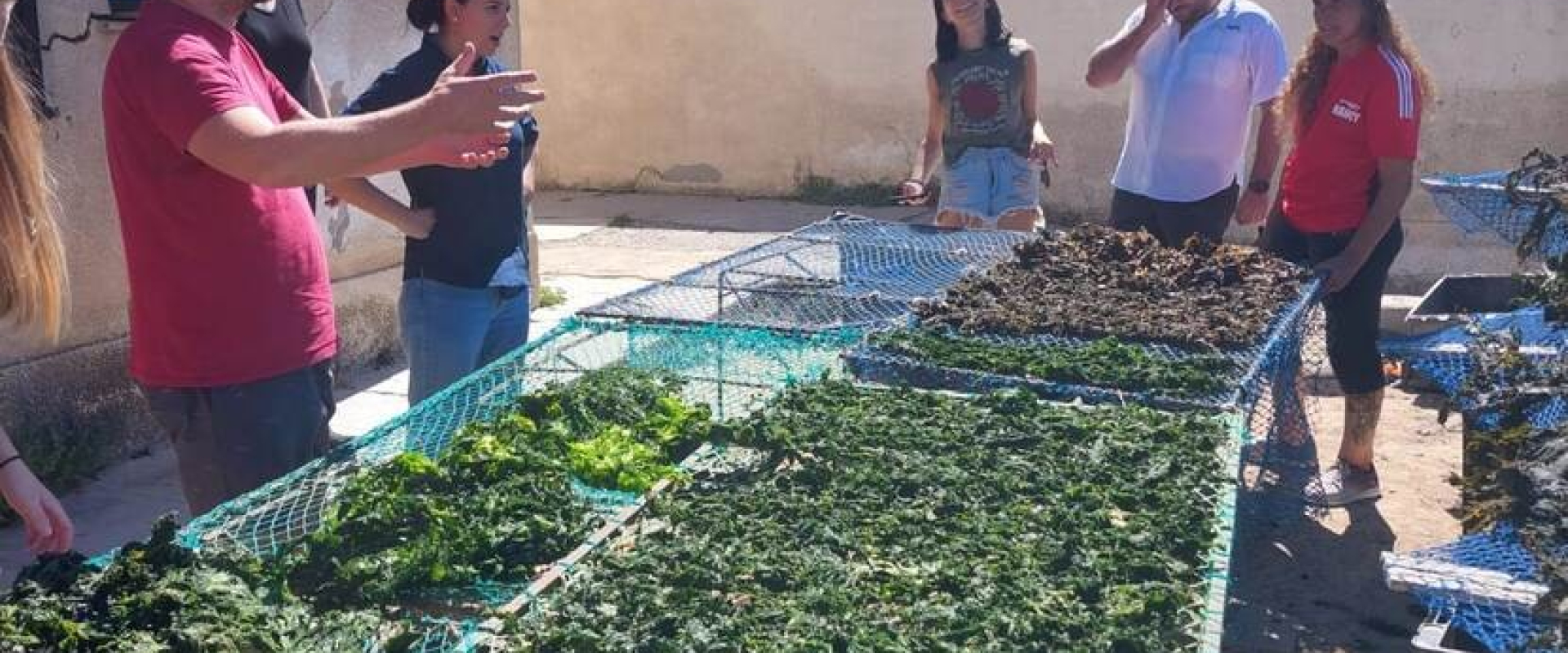 People looking at the sea weed project. Photo cretidts: LAN Cono Sur